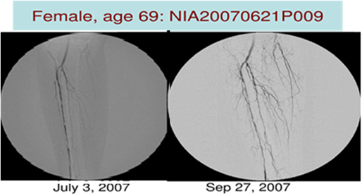 Description of Image 3